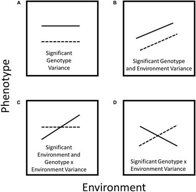 Should Root Plasticity Be a Crop Breeding Target?